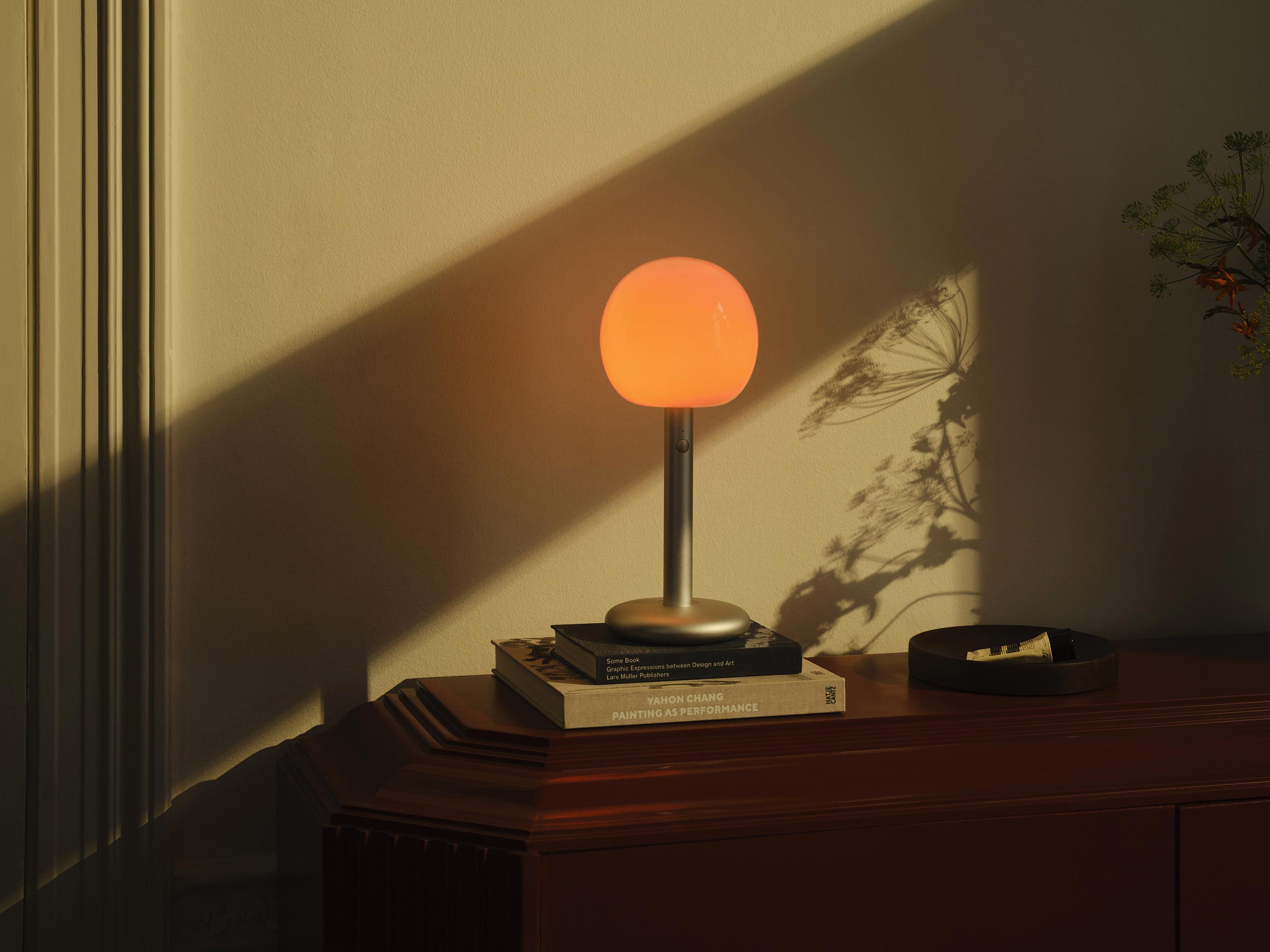 Grau Parrot, Hamburg 2024