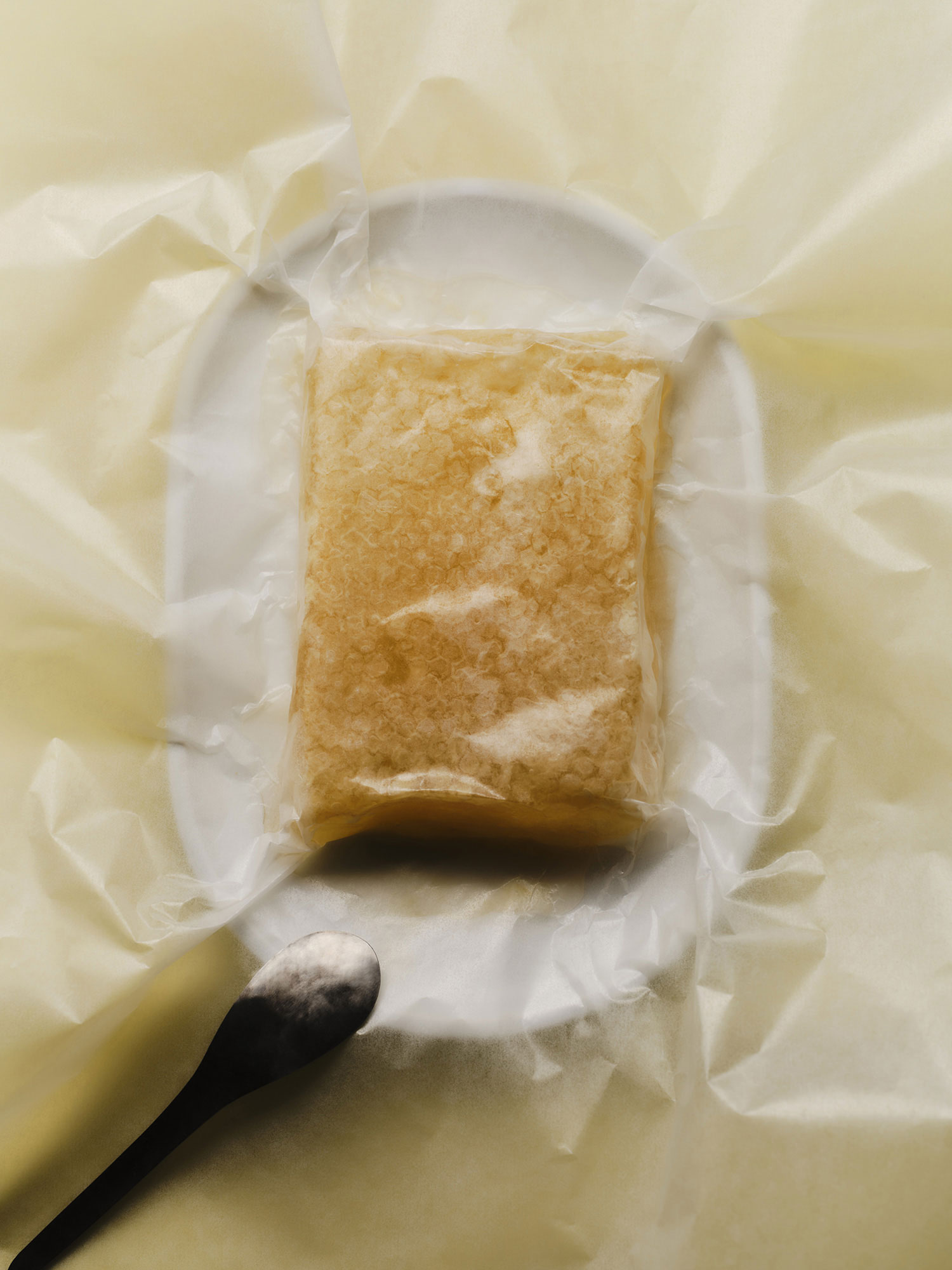 Campaign Zurich, Berlin 2025